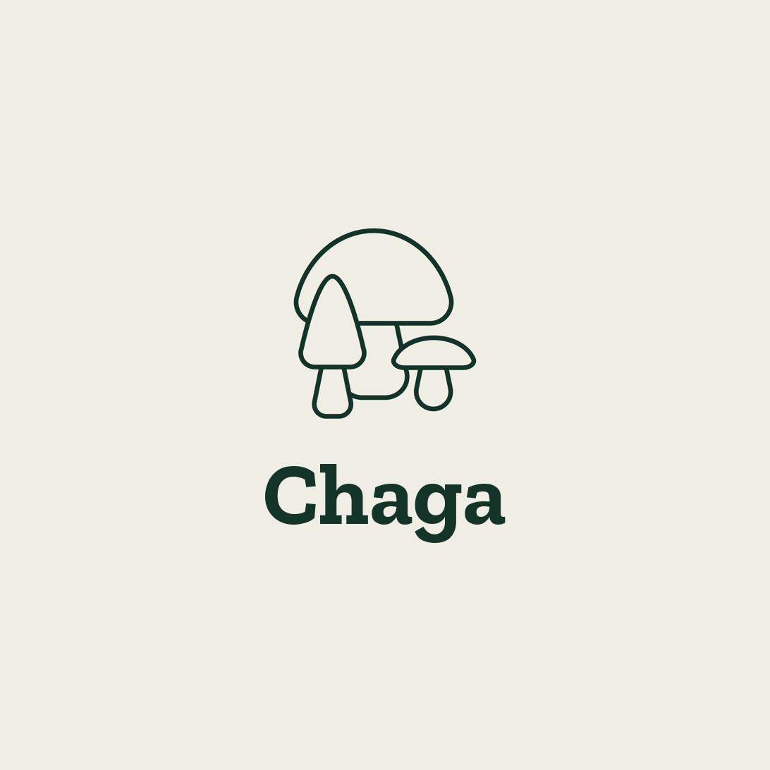 Chaga