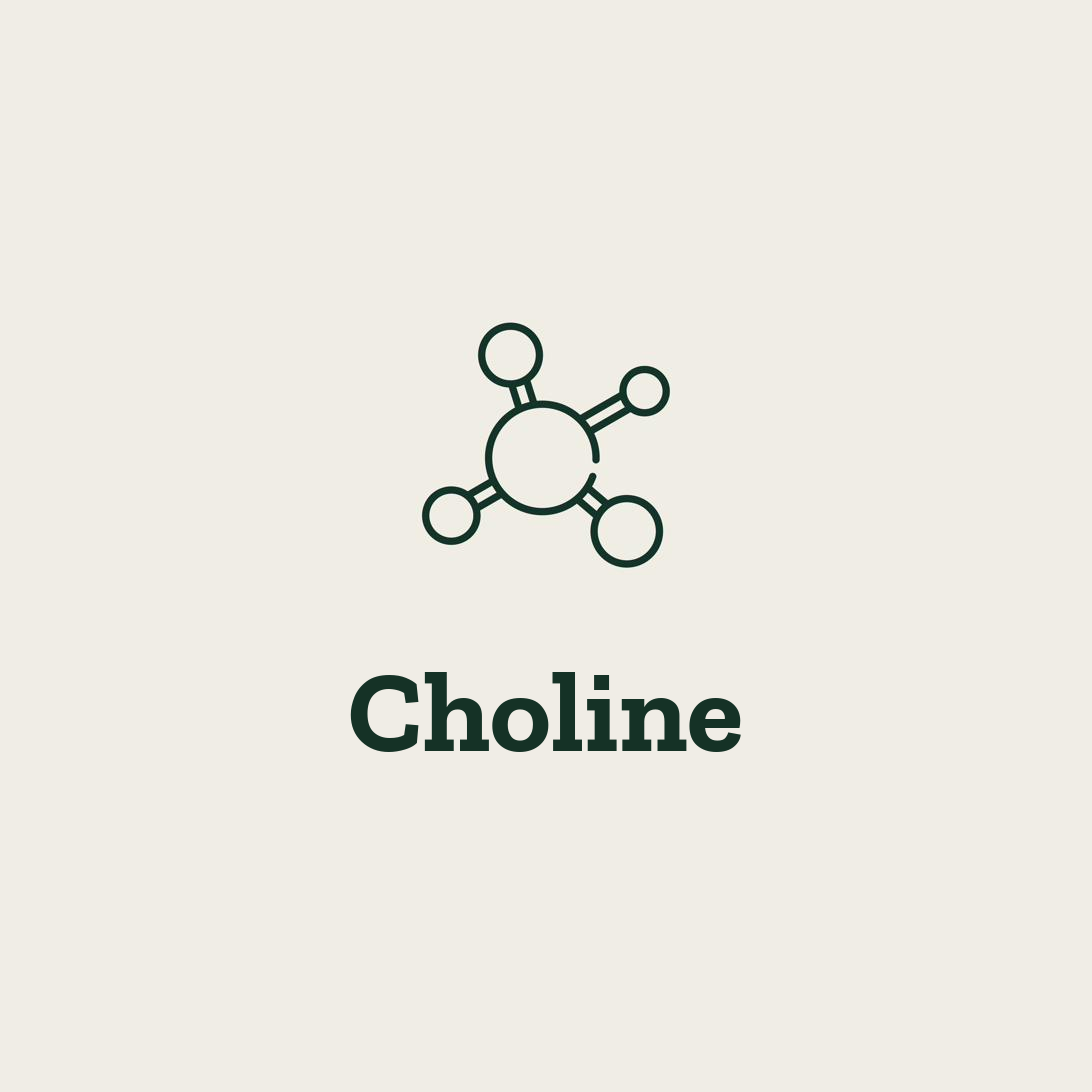 Choline
