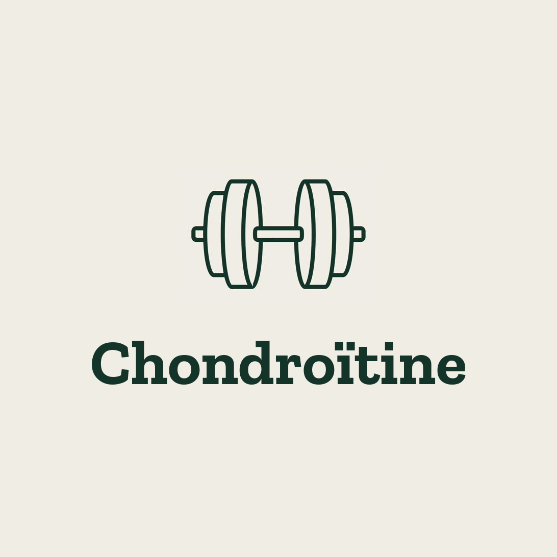Chondroïtine