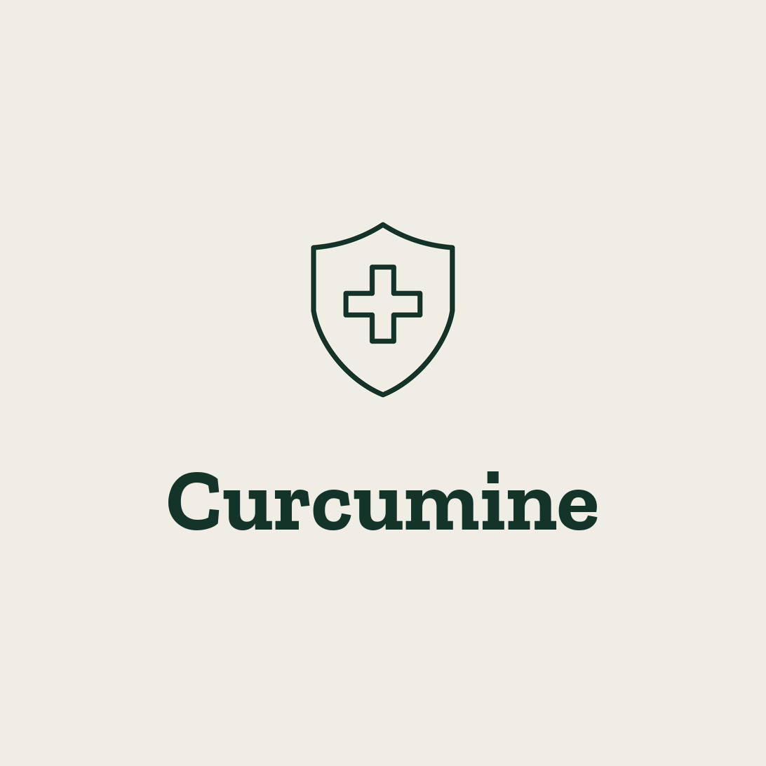Curcumine