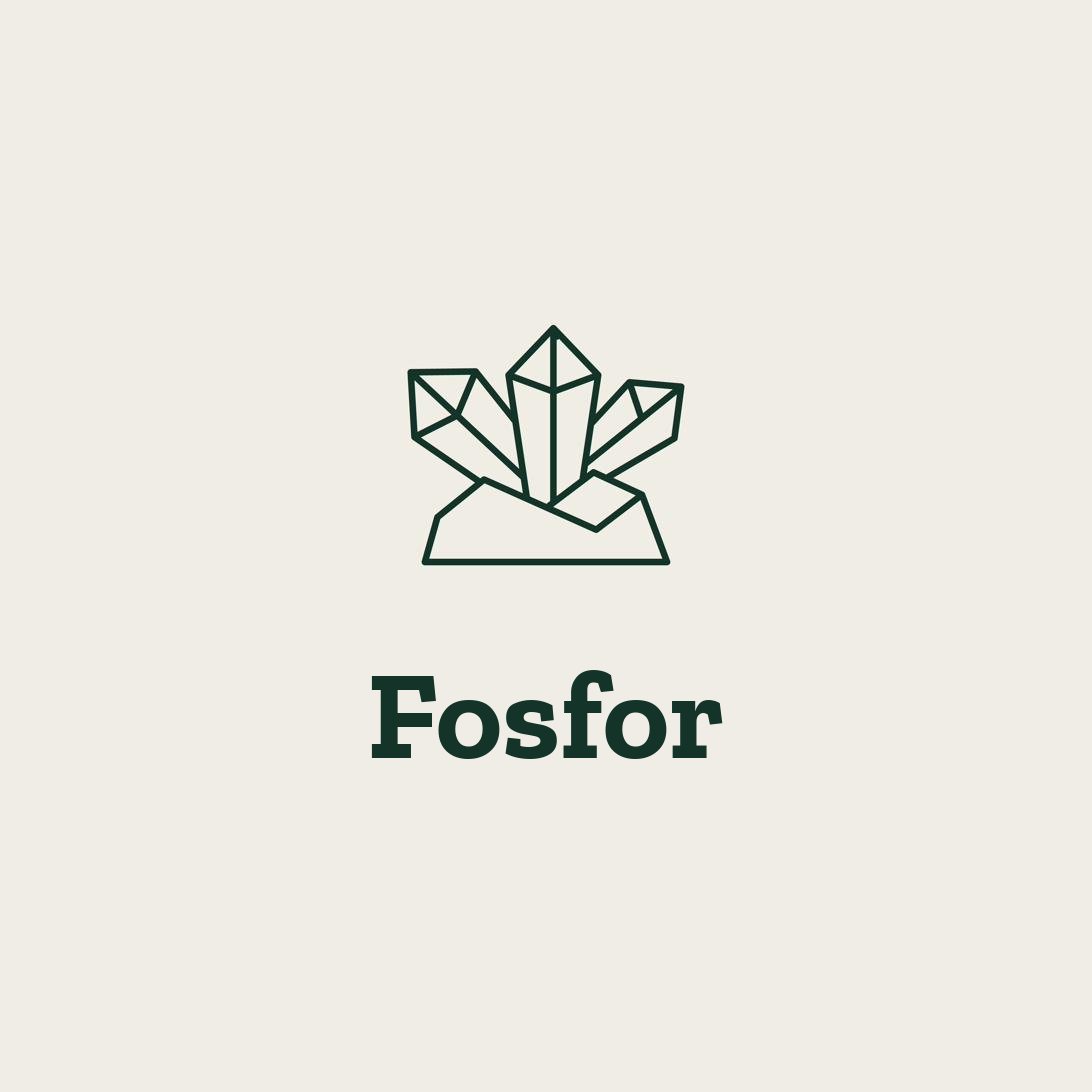 Fosfor