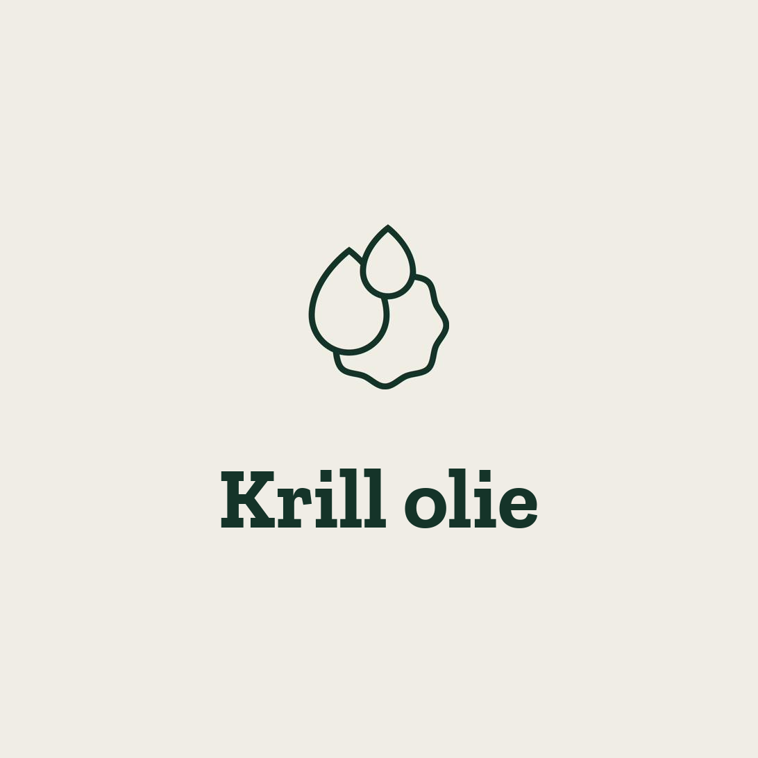 Krill olie