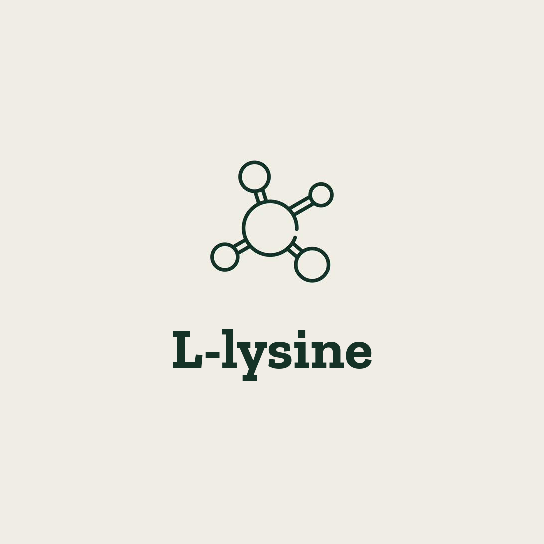L-Lysine