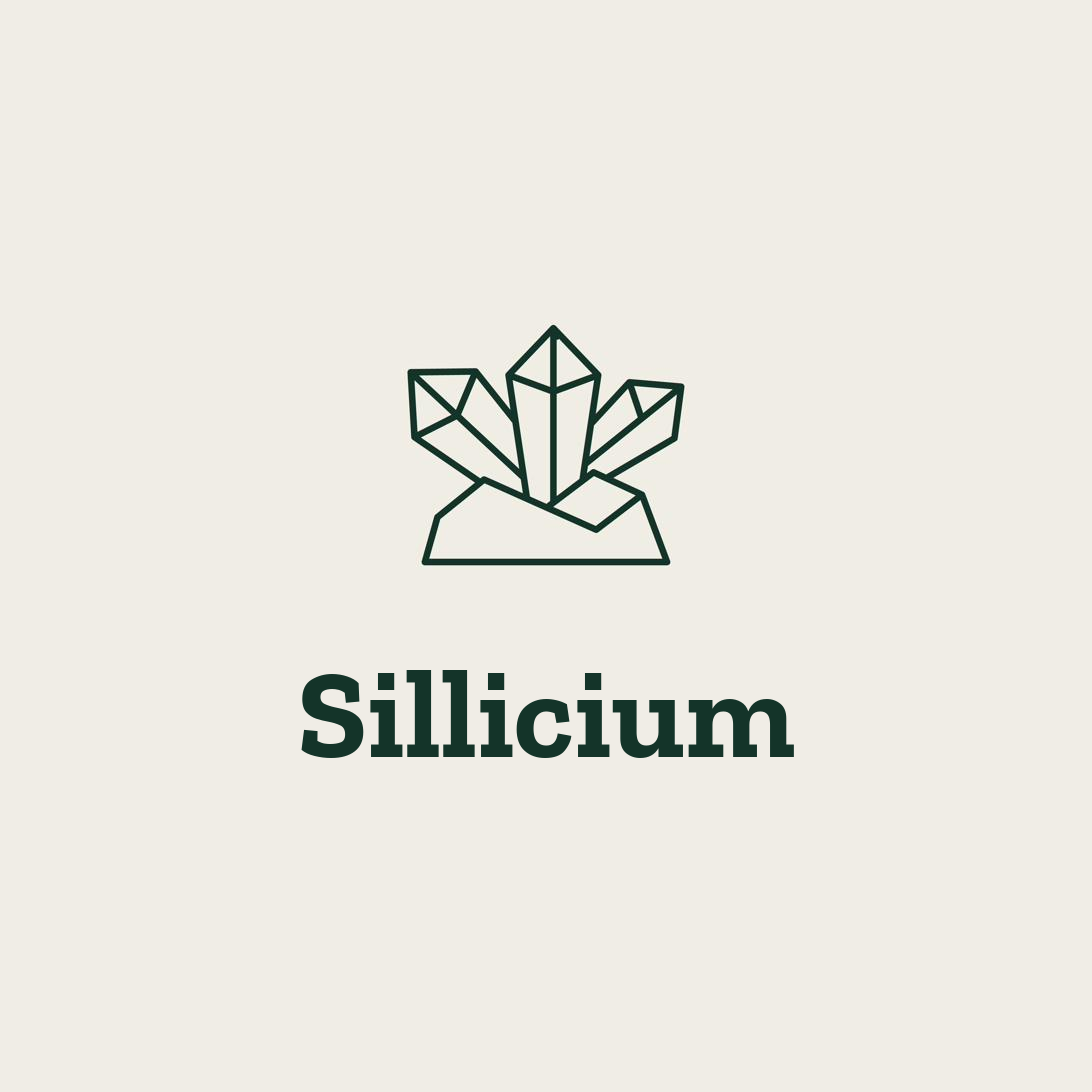 Silicium