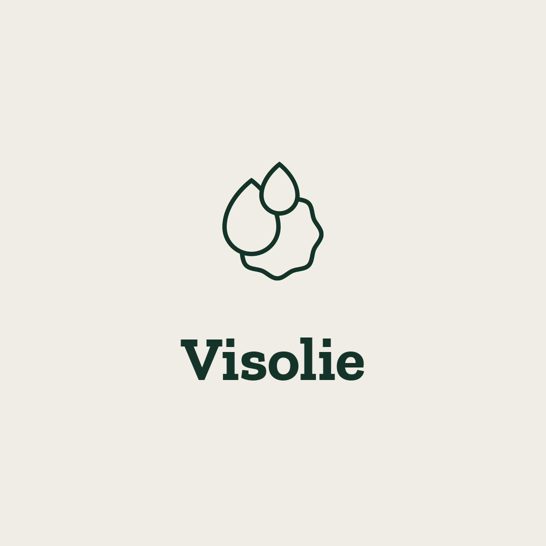 Visolie