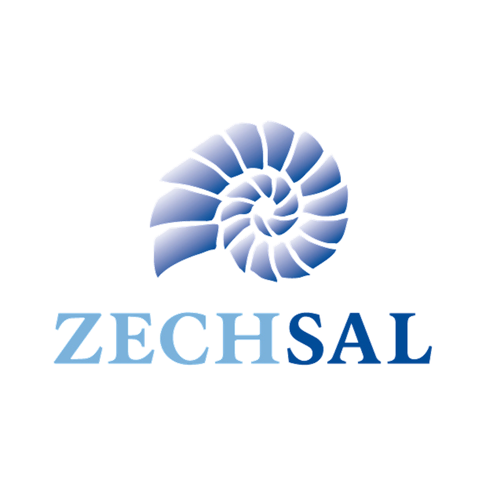 Zechsal
