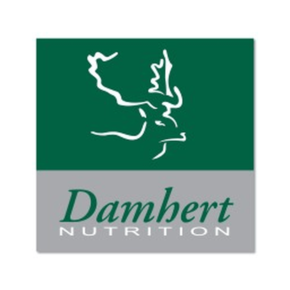 Damhert