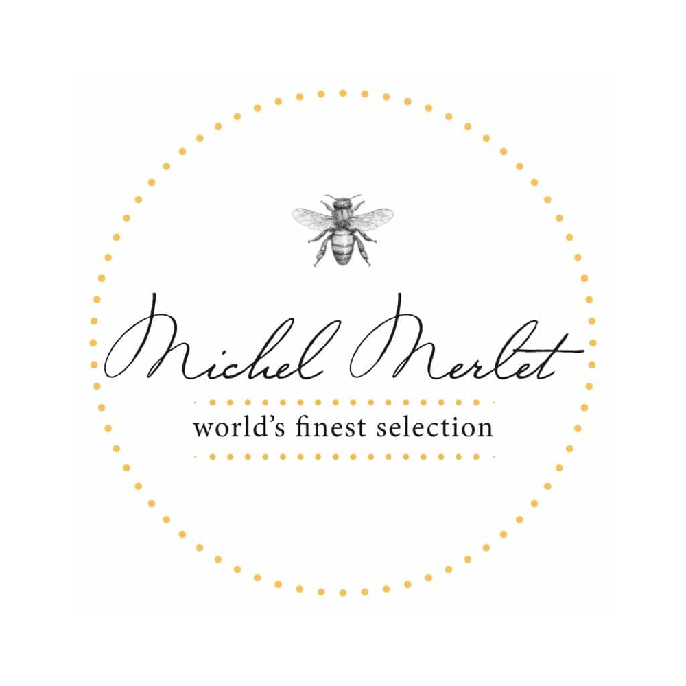 Michel Merlet