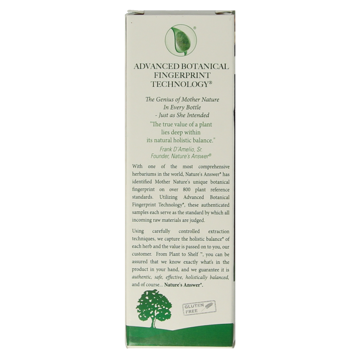 Natures Answer Turmeric-3 Curcuma extract alcoholvrij 30.00 Milliliter