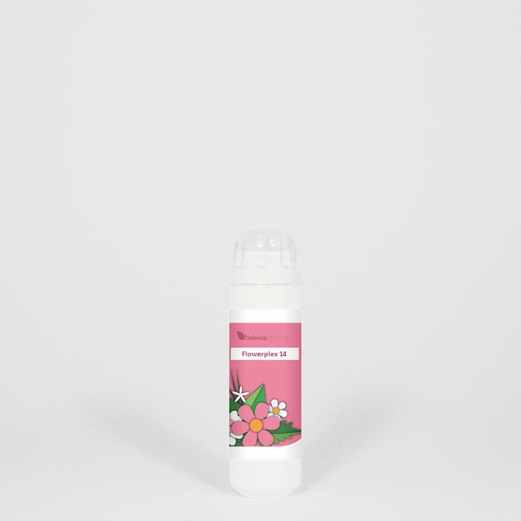 Balancepharma HFP014 Kosmos Flowerplex 6.00 Gram