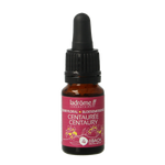Ladrome Centaury/Duizendguldenkruid nr 4 bio 10.00 Milliliter