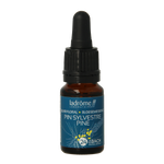 Ladrome Pine / Den 24 bio 10.00 Milliliter