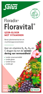 Salus Floradix floravital 250.00 Milliliter