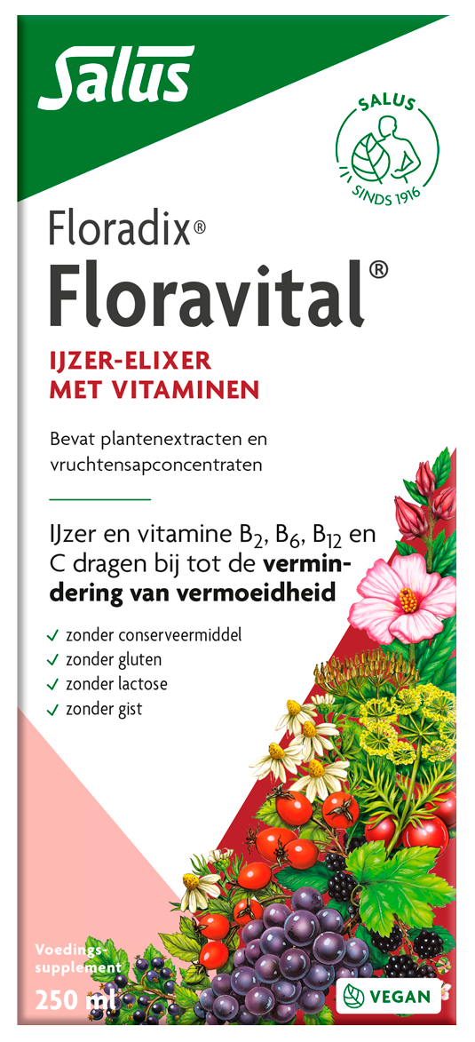 Salus Floradix floravital 250.00 Milliliter