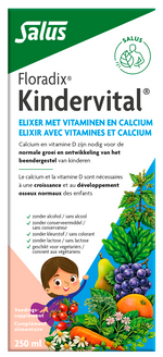 Salus Floradix kindervital 250.00 Milliliter