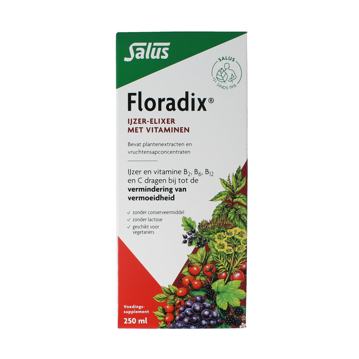 Salus Floradix ijzer elixer 250.00 Milliliter
