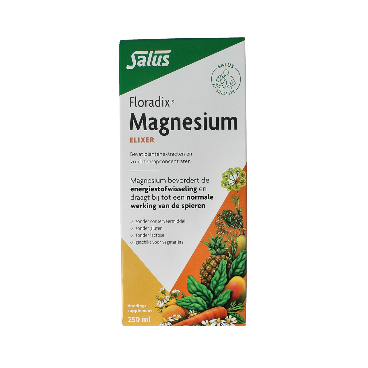 Salus Floradix magnesium 250.00 Milliliter