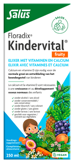 Salus Floradix kindervital fruity glutenvrij 250.00 Milliliter