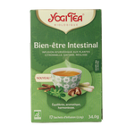 Yogi Tea Natural balance bio 17.00 Zakjes