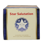 Yogi Tea Star salutation bio 17.00 Zakjes