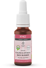 Bach Bloesem Bach bloesems mengeling 40 energie bio  20.00 Milliliter