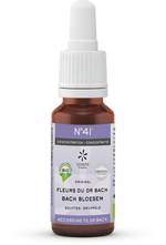Bach Bloesem Bach bloesems mengeling 41 concentratie bio  20.00 Milliliter
