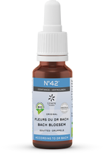 Bach Bloesem Bach bloesems mengeling 42 vertrouwen bio  20.00 Milliliter