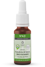 Bach Bloesem Bach bloesems mengeling 43 motivatie bio  20.00 Milliliter
