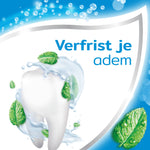Aquafresh Tandpasta coolmint 75 Milliliter