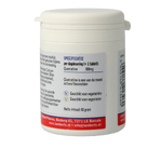 Lamberts Quercetine 500mg 60.00 Tabletten