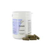 Holisan Punar 95.00 Vegetarische capsules