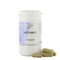 Holisan Saptamlo 60.00 Vegetarische capsules