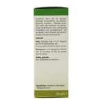 Physalis Tea tree bio 10.00 Milliliter