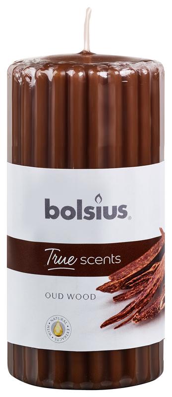 Bolsius True Scents stompkaars geur 120/58 old wood 1.00 Stuks