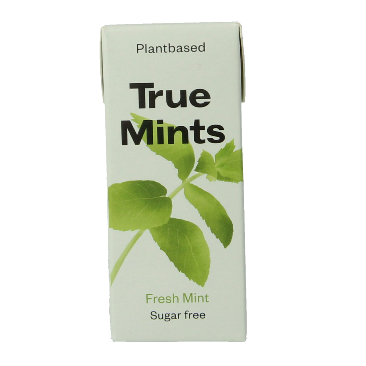 True Mints Fresh mint suikervrij 13.00 Gram
