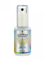 Lichtwesen Gabriel tinctuur 26 30.00 Milliliter