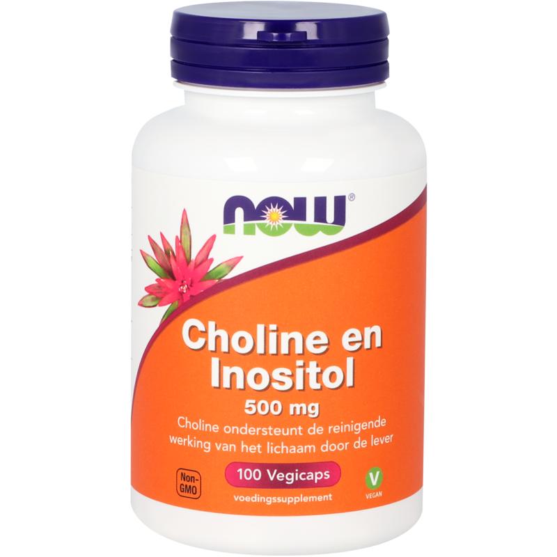 NOW Choline en inositol 500mg 100.00 Vegetarische capsules