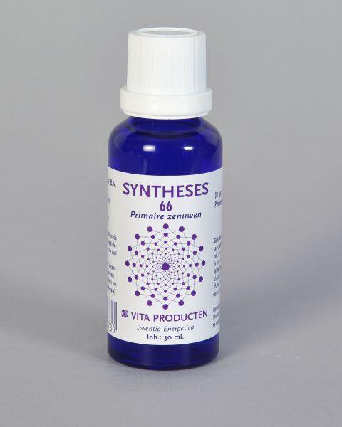 Vita Syntheses 66 primaire zenuwen 30.00 Milliliter