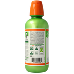 The Breath Co The Breath Co Mild Mint 500.00 Milliliter