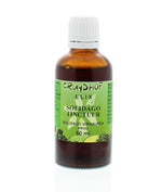 Elix Solidago tinctuur 50.00 Milliliter