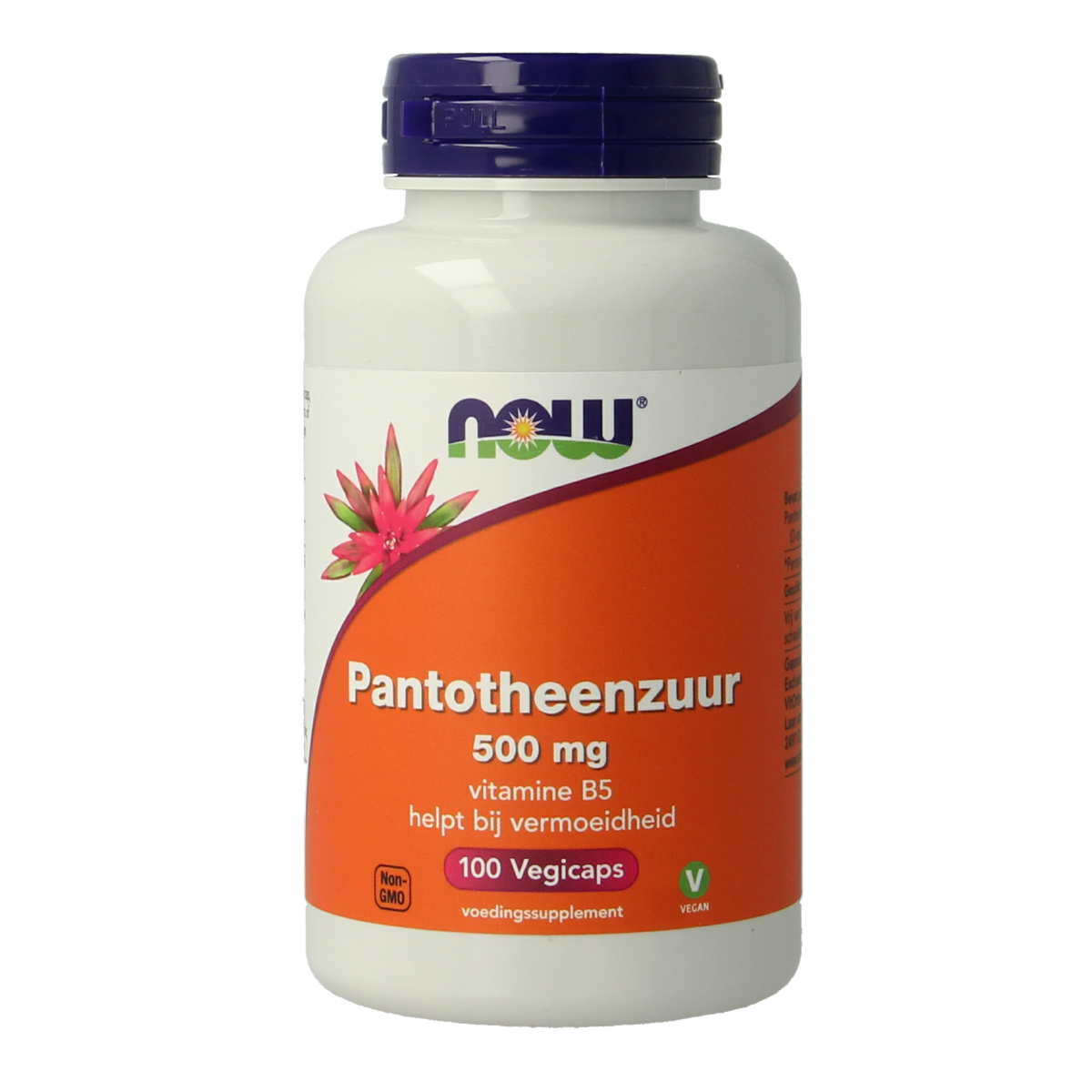 NOW Pantotheenzuur 500mg (B5) 100.00 Vegetarische capsules