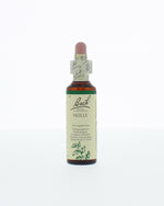 Bach Holly/hulst 20.00 Milliliter
