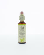 Bach White chestnut/paardekastanje 20.00 Milliliter