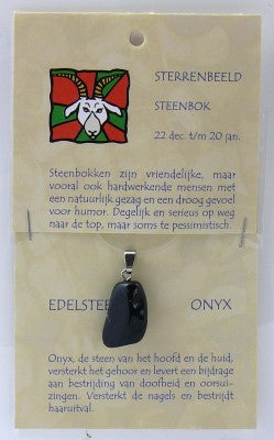 Steengoed Sterrenbeeldsteen hanger steenbok 1.00 Stuks