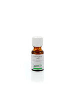Ginkel's Eucalyptusolie 80-85% 15.00 Milliliter