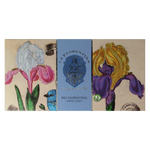 La Florentina Zeep iris 3.00 Stuks