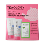 Teaology Peach tea hair kit 1.00 Stuks