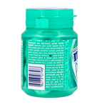 Mentos Gum pure wintergreen pot 30 Stuks