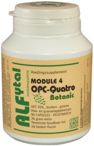 Alfytal OPC-quatro botanic met 4 polyfenolen 90.00 Vegetarische capsules