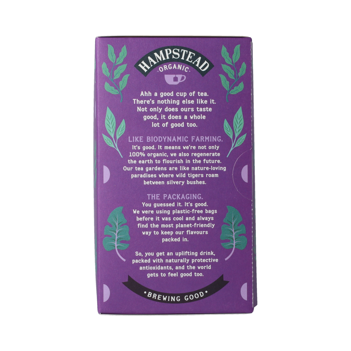 Hampstead Thee focus well bio 20.00 Zakjes